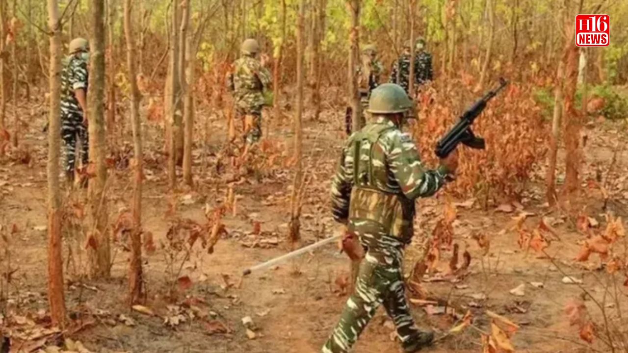 CRPF’s Belgian Malinois dies after bee attack during anti-Naxal operation